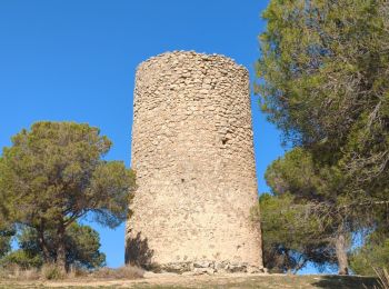 Tocht Stappen Antequera - Antequera - Photo