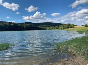 Tour Zu Fuß Samognat - Le Tour de l'Oignin - Photo