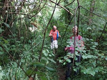 Tour Wandern Lhez - lhez les ponts G4 2022  - Photo