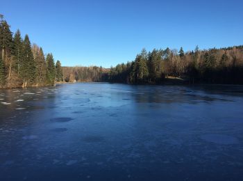 Tocht Te voet Kaisersbach - Roter Strich - Photo