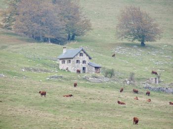 Randonnée Marche Omblèze - Plateau d'Ambel (le tour) - Photo