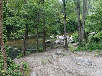 Tocht Noords wandelen La Colle-sur-Loup - le long du Loup  - Photo