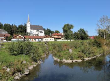 Randonnée A pied Taufkirchen an der Pram - Pramweg - Photo