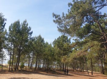 Tour Wandern Le Grand-Village-Plage - oléron mercredi  - Photo