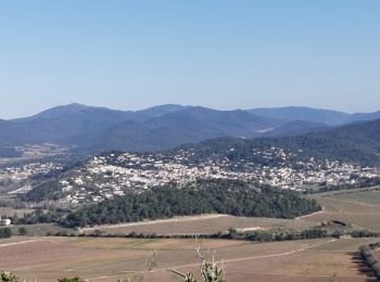 Tocht Stappen La Crau - La Navarre - Photo