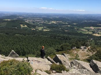 Randonnée Marche Araules - Suc de Lizieux - Photo