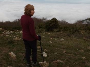 Tour Wandern Montesquieu-des-Albères - saint jean d 'alberes  - Photo