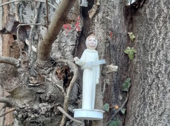 Tocht Stappen Esneux - autour du parc du Mary - Photo