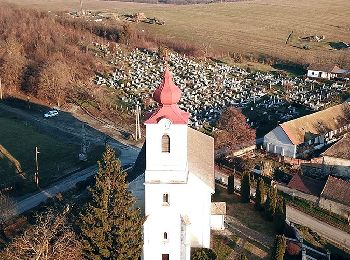 Tour Zu Fuß Szokolya - Z+ (Száraz Fák - Szokolya) - Photo