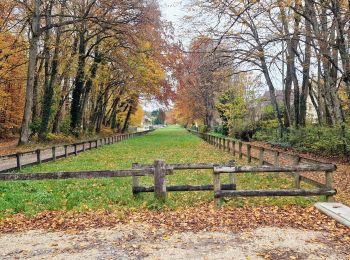 Tocht Te voet Fontainebleau - Sur les traces de Rosa Bonheur - Thomery - Photo