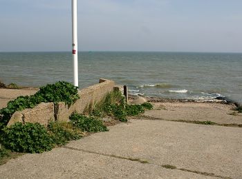 Trail On foot Rochford - The Broomway - Photo