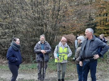 Randonnée Marche Arelaune-en-Seine - FORET BROTONNE - Photo