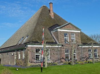 Randonnée A pied Beemster - Hogedijkroute - Photo