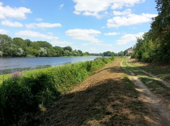 Randonnée Marche Rivière - Rivière - circuit Entre Vienne et vignes - 13km 120m 3h10 (35mn) - 2017 07 14 - Photo