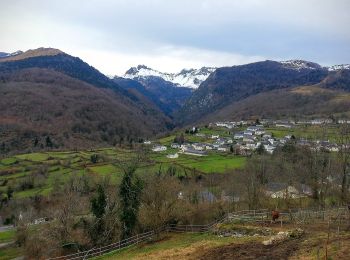 Percorso A piedi Bilhères - Les cercles de pierre - Photo