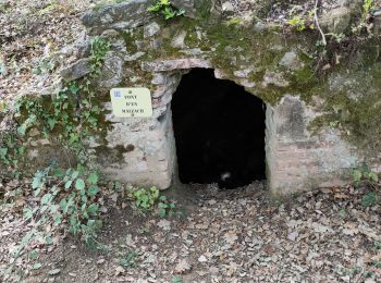 Percorso Marcia Laroque-des-Albères - Laroque  des Albères 1022 - Photo