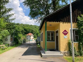 Tour Zu Fuß Gemeinde Hardegg - Thayatalweg - Variante Umlaufberg - Photo