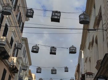 Percorso Marcia Alghero - Alghero - Photo