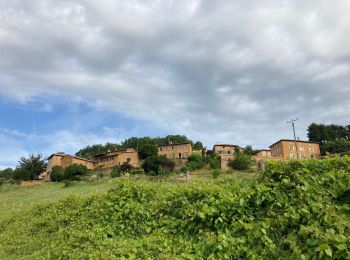 Tocht Stappen Porte des Pierres Dorées - Jarnioux / 15 km - Photo