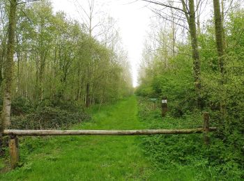 Trail On foot Lichtervelde - Heihoek wandelroute - Photo