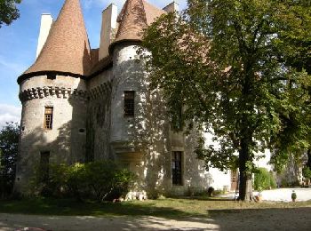 Excursión Senderismo Saint-Astier - Boucle de Saint Astier - Photo