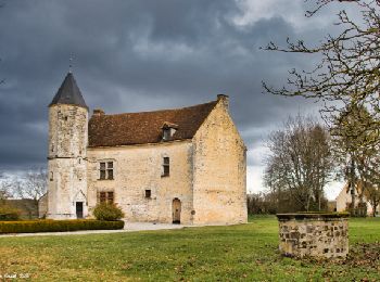 Randonnée Marche Pervenchères - Le Bois du Châtaignier 4,5 km - Photo