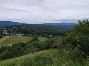 Excursión Senderismo Gemeinde Gießhübl - Giesshubl - Photo