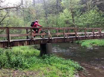 Tour Mountainbike Libin - Redu - Variante du Parcours VTT de la Haute Lesse - Photo