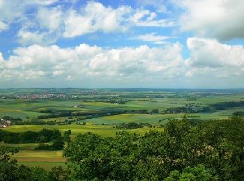 Excursión A pie Otzberg - Rundwanderweg Nieder-Klingen 1 : Otzberg-Weg - Photo