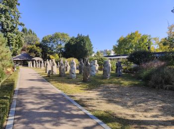 Tocht Andere activiteiten  - Gyeongbokgung - Photo