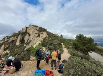 Excursión Senderismo La Ciotat - Traversée Philémon au Cap Canaille  - Photo