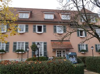 Tocht Te voet Tübingen - Dieter-Baumann-Runde - Photo