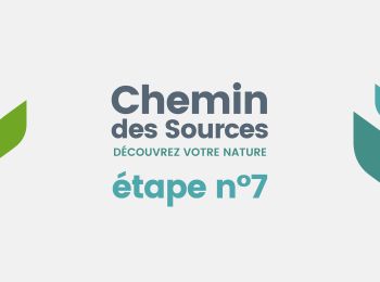 Tocht Stappen Theux - Chemin des Sources |ETAPPE 7 JEHANSTER  – THEUX - Photo