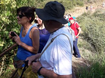 Trail Walking Capendu - balade de la paix  - Photo