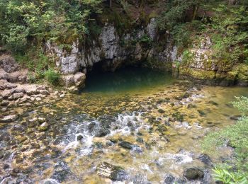 Excursión Senderismo Hauts de Bienne - Le Trou Bleu 11.7.23 - Photo