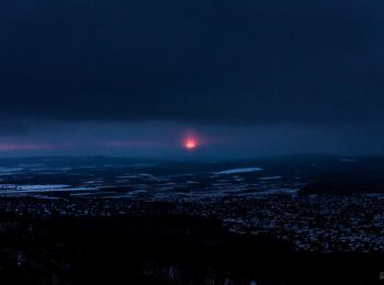 Randonnée A pied Nagykovácsi - S+ (János-hegy, Libegő állomás - Budakeszi Vadaspark - z+) - Photo