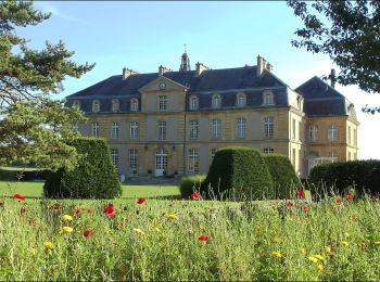 Trail On foot Pange - Circuit des Châteaux - Photo