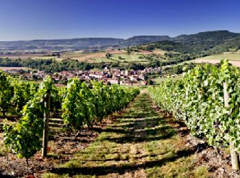 Percorso Marcia Villeneuve - Villeneuve_Chateaux_Bacchus - Photo