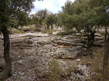 Excursión Marcha nórdica Montpeyroux - Font du Griffe Mont St Baudille Mars 2022 - Photo