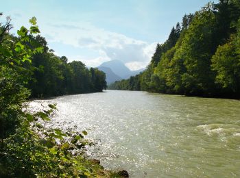 Excursión A pie Piding - Staufenbrücke-Fuderheuberg - Photo