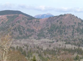 Tour Wandern Aydat - puy de Vichatel - Photo