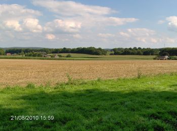 Percorso A piedi Uedem - Uedemer Hochwald - Rundwanderweg Dreieck - Photo