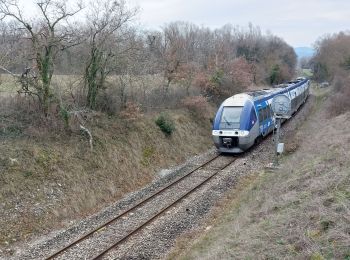 Tocht Stappen Livron-sur-Drôme - Livron Tour-du-Diable 10km - Photo