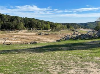 Trail Walking Darnius - Lac Boadella Darnius alentours  - Photo