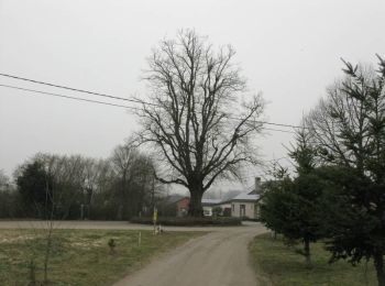 Randonnée A pied Diest - Vallei van de drie beken Rode driehoek - Photo