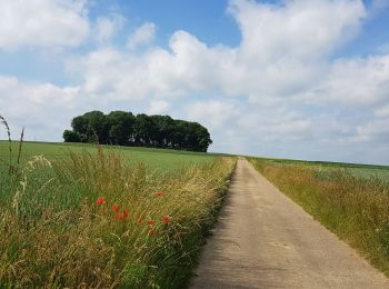 Tocht Stappen Luik - Rocourt - Sluizen - Vreren - Rocourt  - Photo