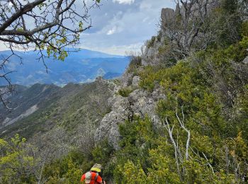 Excursión Senderismo Teyssières - chemin de Bernard  - Photo