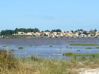 Tocht Stappen Arces - 17,Port Maran - Meschers  6km800 - Photo