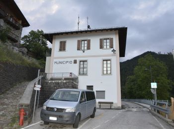 Randonnée A pied Vignola Falesina - Percorso Natura - Photo