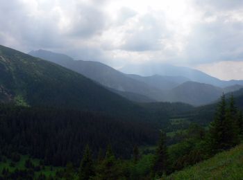 Trail On foot District of Poprad - Náučný chodník Monkova dolina - Photo